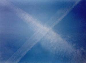 saltire-web